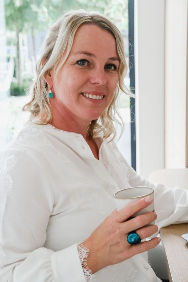 Intakegesprek Mini Succes Scan Johanna Nauta coaching